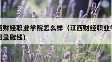 江西财经职业学院怎么样（江西财经职业学院单招录取线）