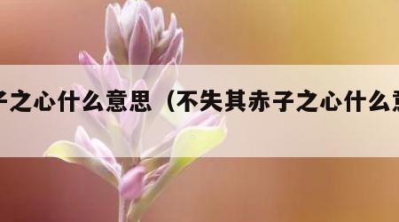 赤子之心什么意思（不失其赤子之心什么意思）