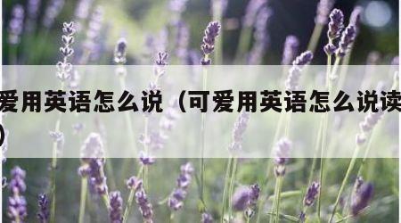 可爱用英语怎么说（可爱用英语怎么说读cute）