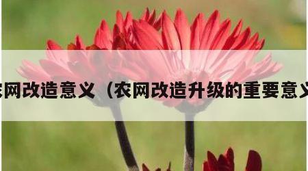 农网改造意义（农网改造升级的重要意义）