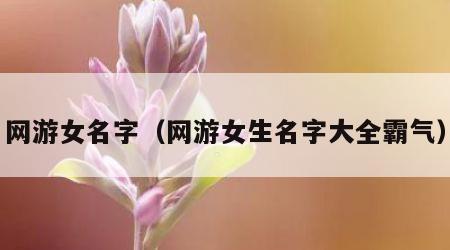 网游女名字（网游女生名字大全霸气）