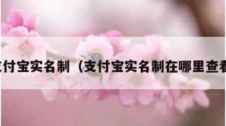 支付宝实名制（支付宝实名制在哪里查看）