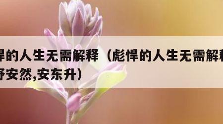 彪悍的人生无需解释（彪悍的人生无需解释七零舒安然,安东升）