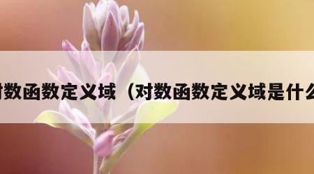 对数函数定义域（对数函数定义域是什么）