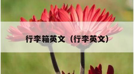 行李箱英文（行李英文）