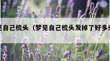 梦见自己梳头（梦见自己梳头发掉了好多头发）