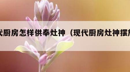 现代厨房怎样供奉灶神（现代厨房灶神摆放位置）