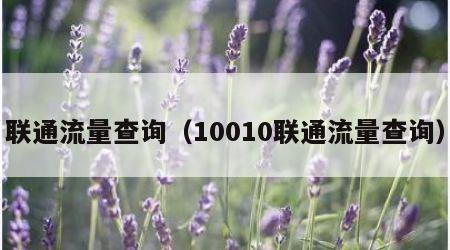 联通流量查询（10010联通流量查询）