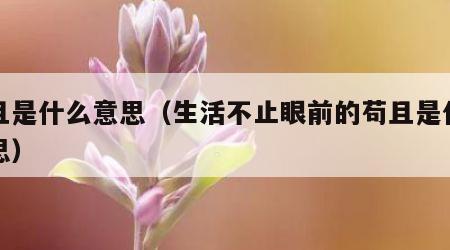 苟且是什么意思（生活不止眼前的苟且是什么意思）