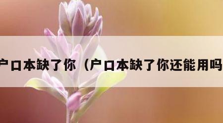 户口本缺了你（户口本缺了你还能用吗）