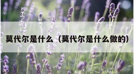 莫代尔是什么（莫代尔是什么做的）