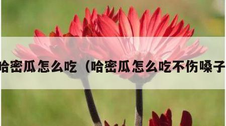 哈密瓜怎么吃（哈密瓜怎么吃不伤嗓子）