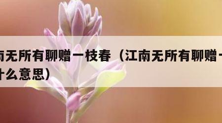 江南无所有聊赠一枝春（江南无所有聊赠一枝春什么意思）