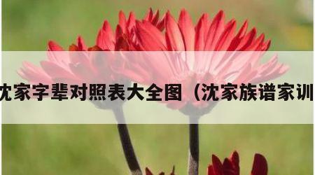 沈家字辈对照表大全图（沈家族谱家训）