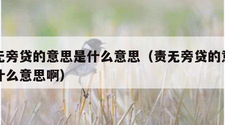 责无旁贷的意思是什么意思（责无旁贷的意思是什么意思啊）