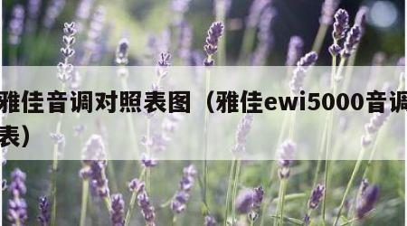 雅佳音调对照表图（雅佳ewi5000音调表）