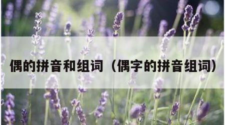 偶的拼音和组词（偶字的拼音组词）