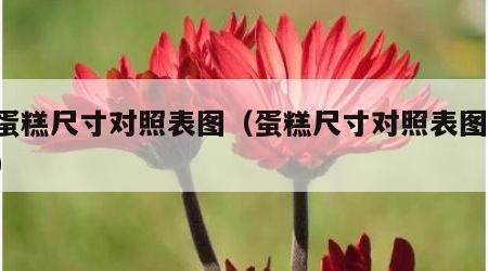 小蛋糕尺寸对照表图（蛋糕尺寸对照表图 人数）